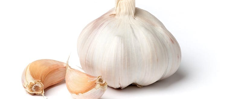 Garlic Dietary and Health Benefits