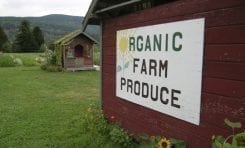 Regulation of Organic Food Production