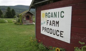 Identifying Organic Food
