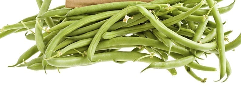 Grow Your Own Broad Beans
