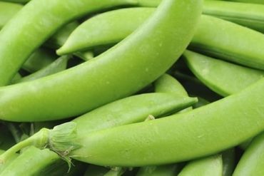 Grow Your Own Peas