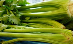 Celery-Free Diet
