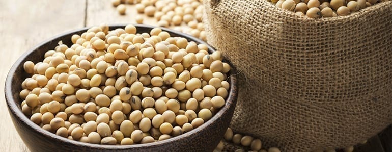Soya Bean Products